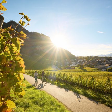 Two cyclists on a path through sunny vineyards with village and mountains in the background