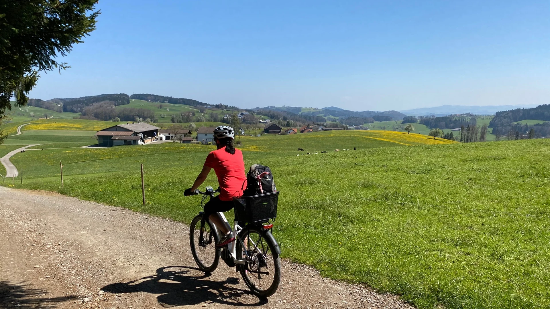 Persoon fietst op een landelijk pad met groene velden en heuvels op de achtergrond