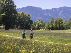 Two cyclists on a path through a flowering meadow with mountains in background