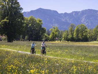 Two cyclists on a path through a flowering meadow with mountains in background