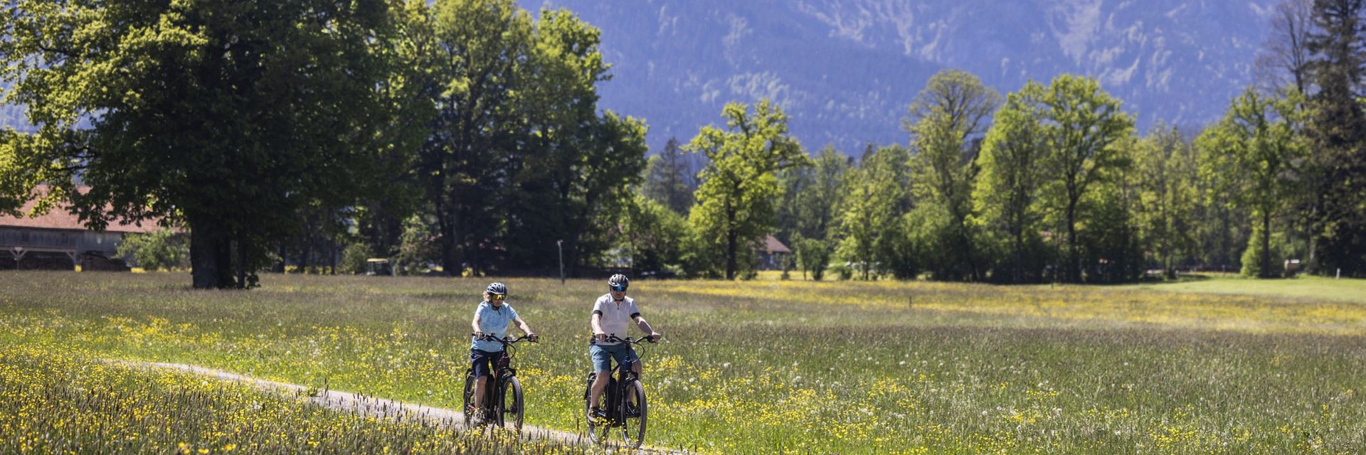 Two cyclists on a path through a flowering meadow with mountains in background