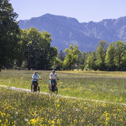 Two cyclists on a path through a flowering meadow with mountains in background