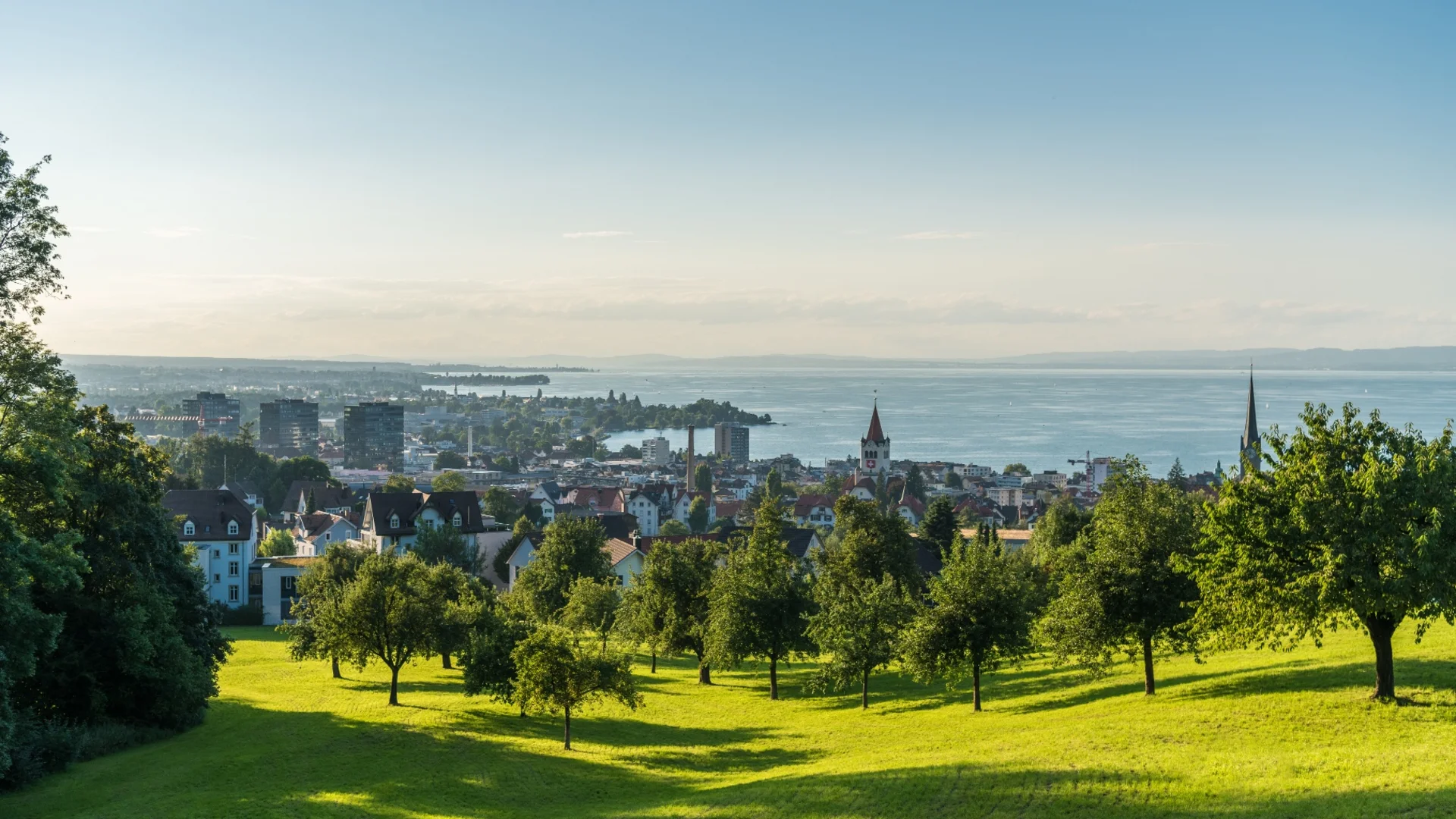Grüne Wiese mit Bäumen und Stadt am See im Hintergrund bei klarem Himmel