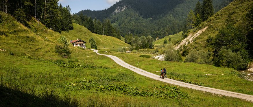 Cyclists on path through green valley with mountains in background