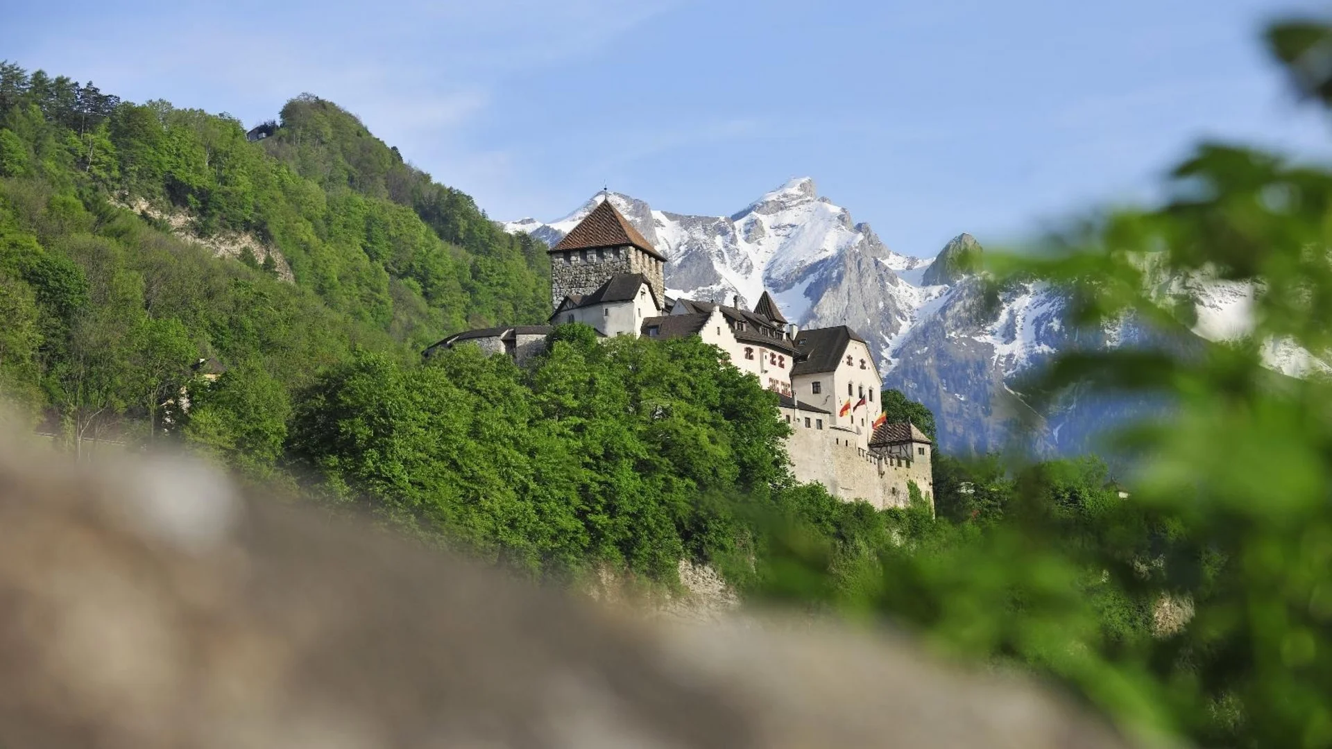 Burg auf bewaldetem Hügel mit schneebedeckten Bergen im Hintergrund