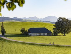 Cyclists on country road by house on green hill with mountains in background