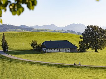 Cyclists on country road by house on green hill with mountains in background
