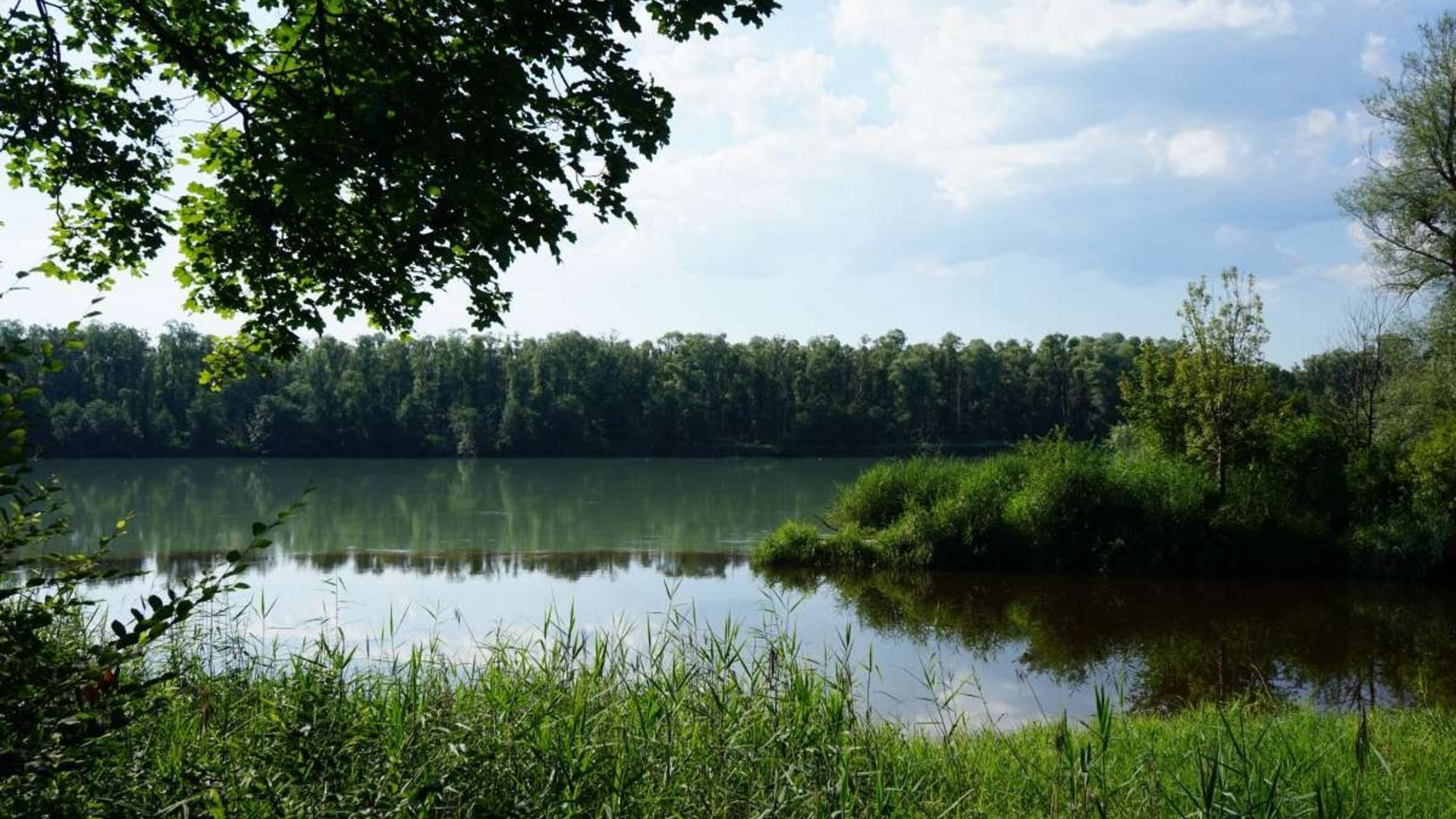 Lake with green shore, trees, and cloudy sky