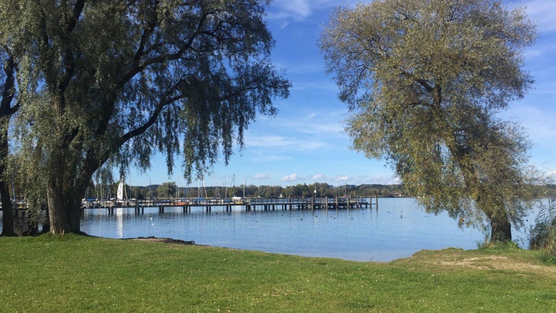 Green shore with trees and dock by calm lake under blue sky