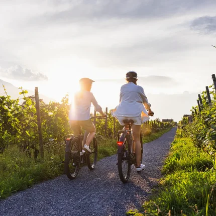 Twee fietsers rijden op een pad door wijngaarden bij zonsondergang