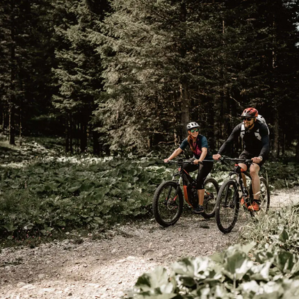 Two cyclists biking on a forest trail surrounded by green plants
