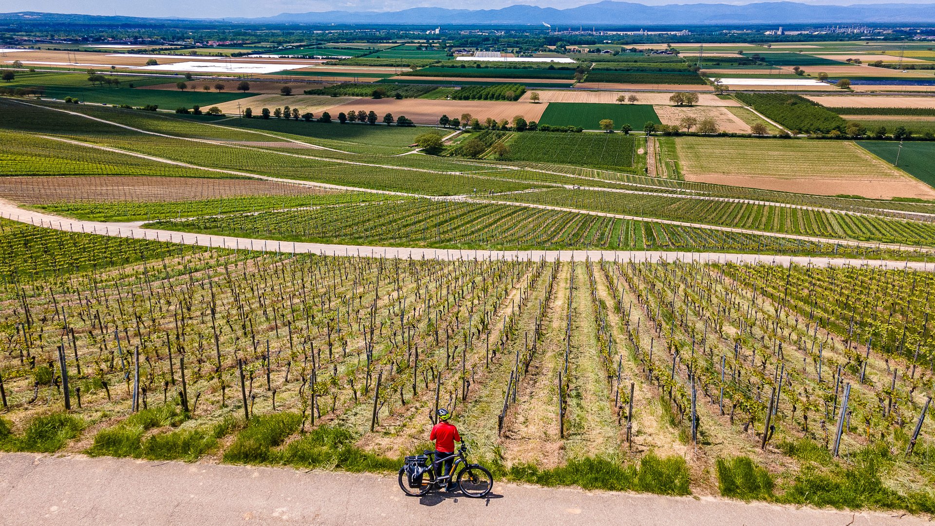 Cyclist stands by vineyard overlooking farmland and distant mountains
