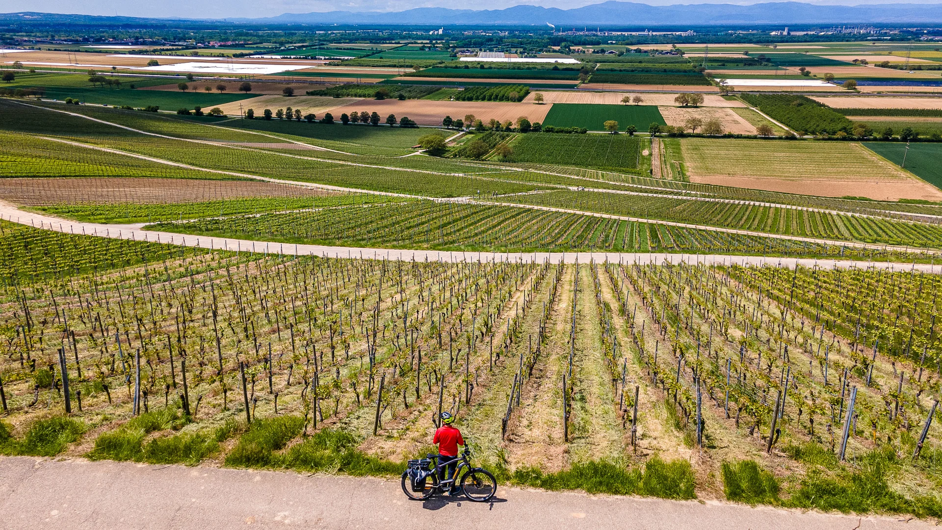 Fietser staat bij wijngaard met uitzicht op landbouwgrond en bergen