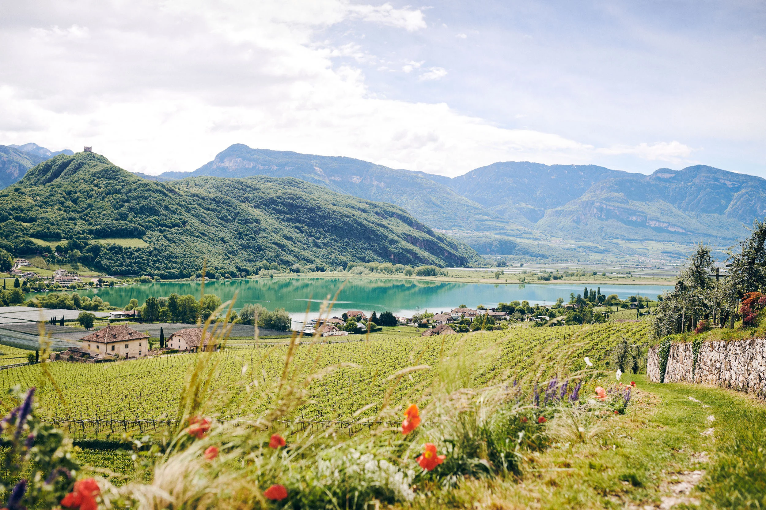 Zuid-Tirol © IDM Südtirol - Manuel Ferrigato Uitzicht op groene wijngaarden en meer met bergen op de achtergrond