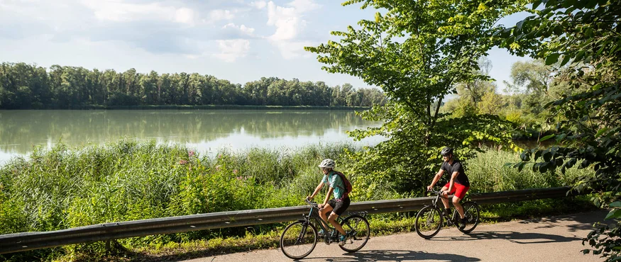 Zwei Radfahrer fahren auf einem Weg neben einem See im Grünen.