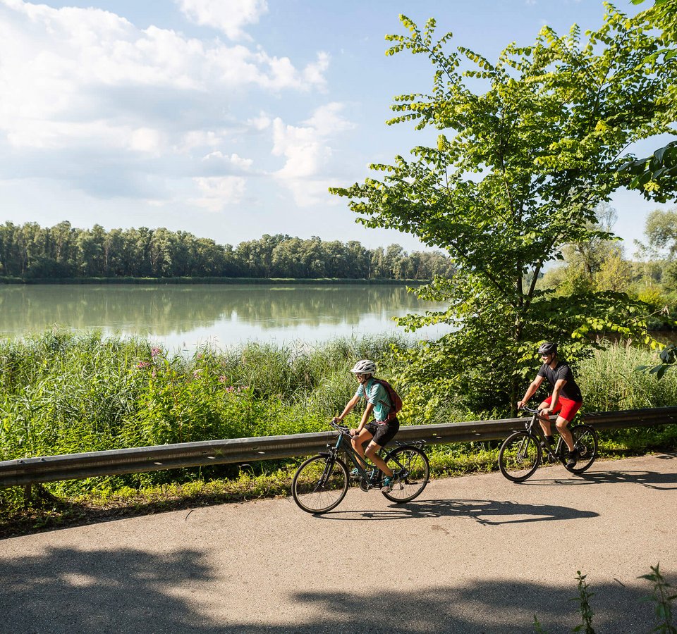Zwei Radfahrer fahren auf einem Weg neben einem See im Grünen.