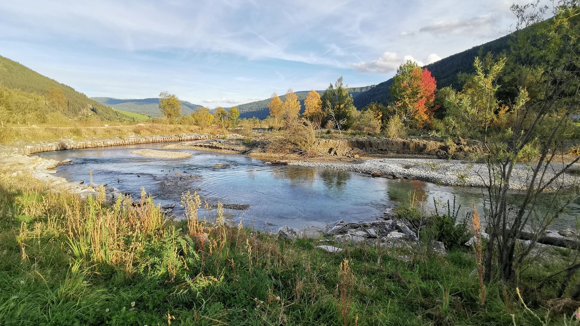 River with trees and mountains in the background on a sunny day