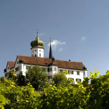 Castle tour Frauenfeld region © Thurgau Tourismus Castle with green tower and vines in foreground under clear blue sky