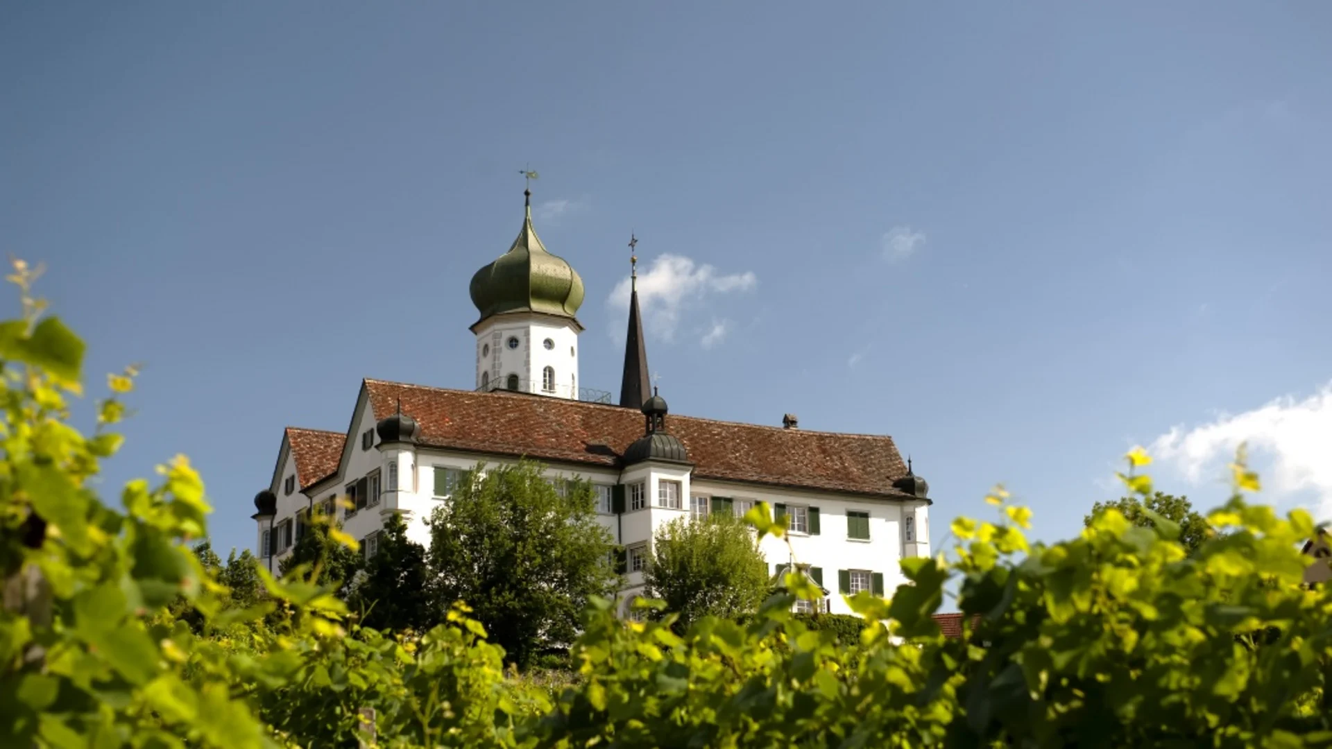 Castle tour Frauenfeld region © Thurgau Tourismus Castle with green tower and vines in foreground under clear blue sky