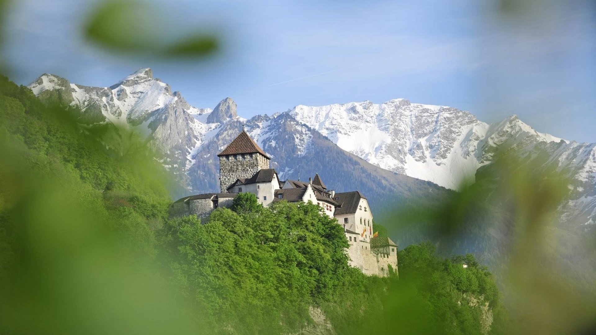Castle on forested hill with snowy mountains in the background