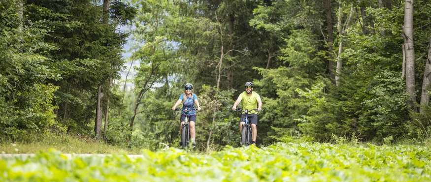 Zwei Radfahrer fahren auf einem Waldweg umgeben von Bäumen und grüner Natur