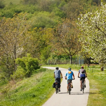B32 Rosalia cycle path © Maria Hollunder Three cyclists riding on a path through green spring landscape