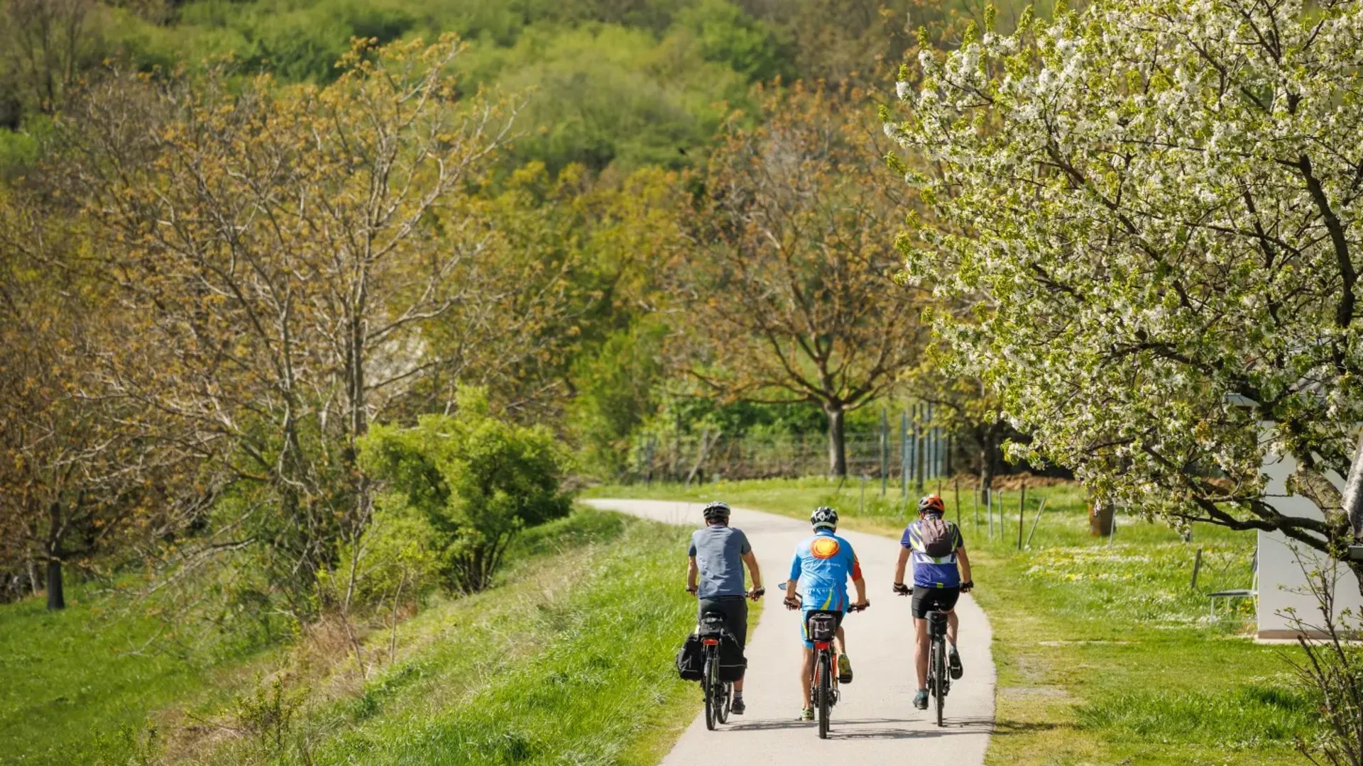 Tour-Detail © Maria Hollunder Drei Radfahrer fahren auf einem Weg durch grüne Landschaft im Frühling