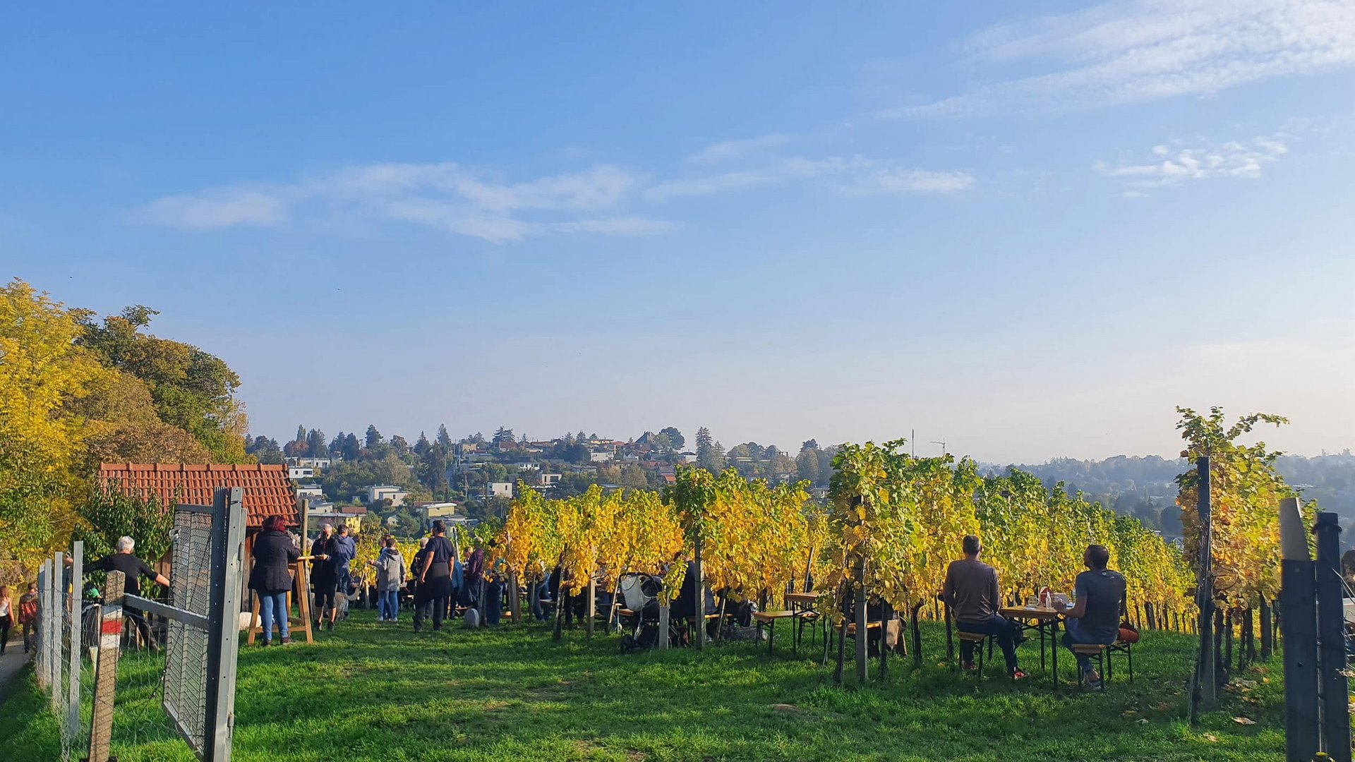 People sitting and standing in a sunny vineyard with autumn foliage
