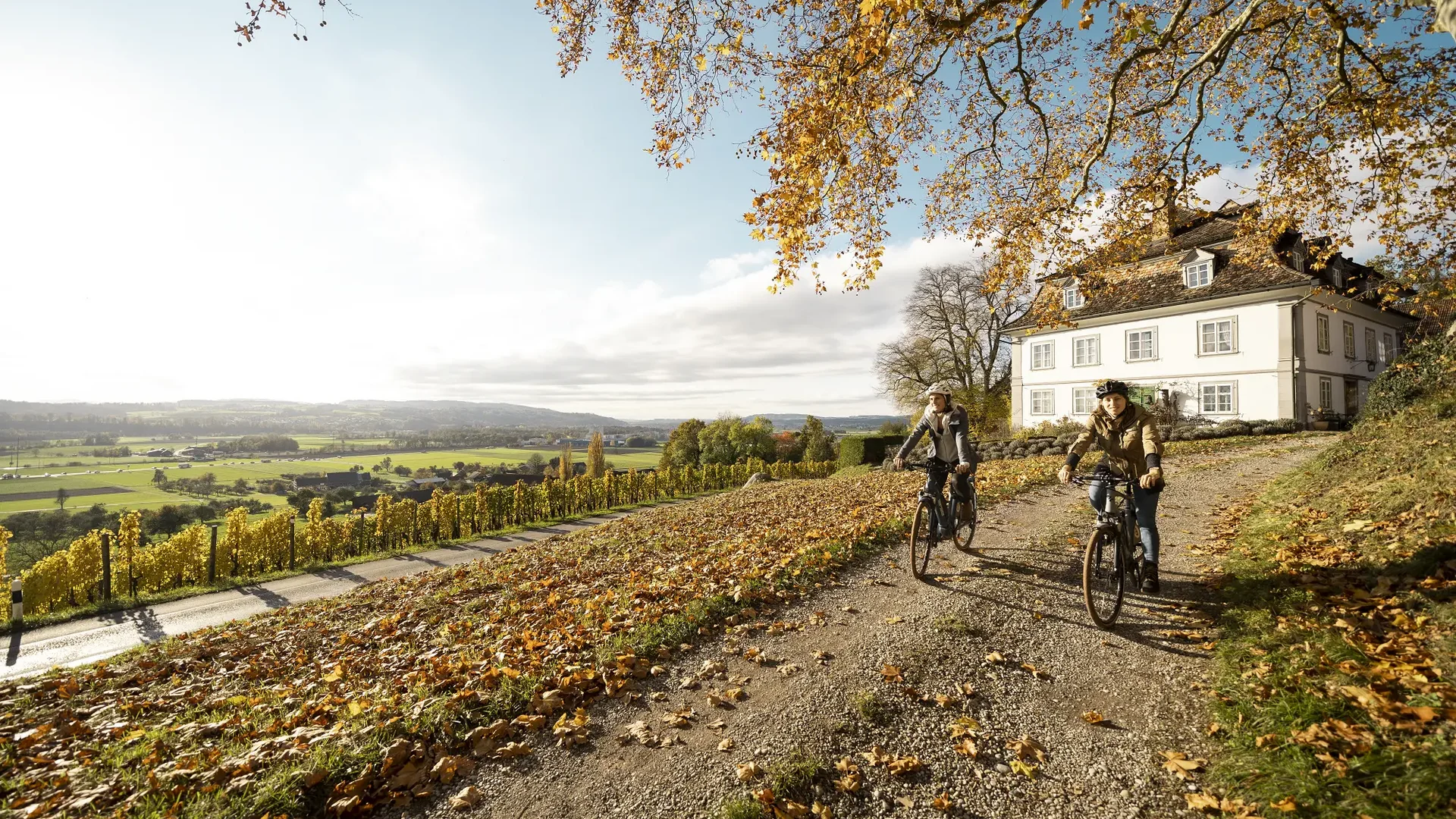 Twee mensen fietsen op een zonnige herfstdag langs een huis en wijngaard