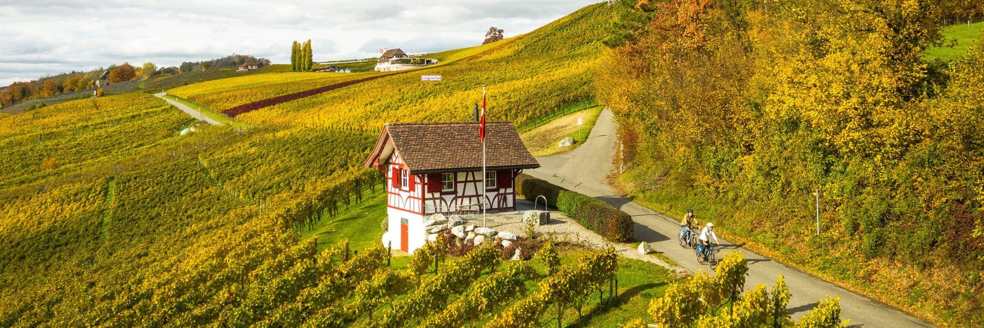 Autumn vineyard landscape with small house and cyclists on country road