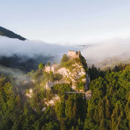 Castle ruins on a forested rock with fog and mountains in the background