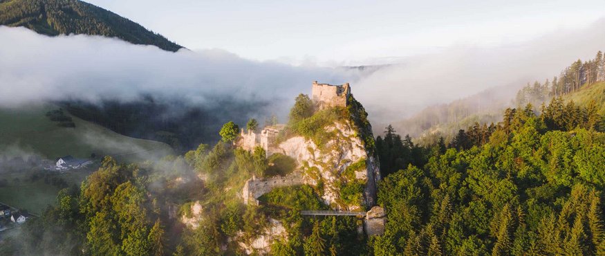 Castle ruins on a forested rock with fog and mountains in the background