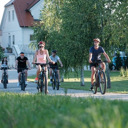 Five people wearing helmets cycling on a path surrounded by greenery.