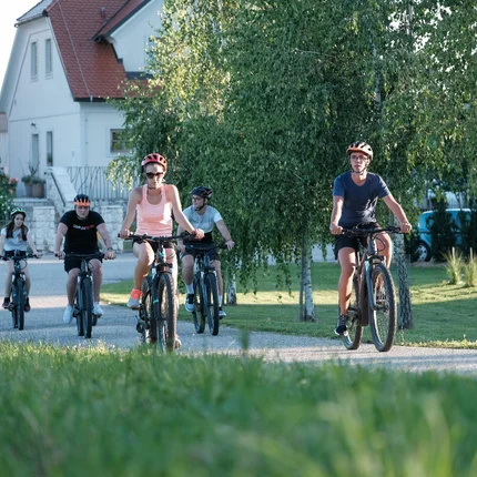 Vijf mensen met helmen fietsen op een pad omgeven door groen.