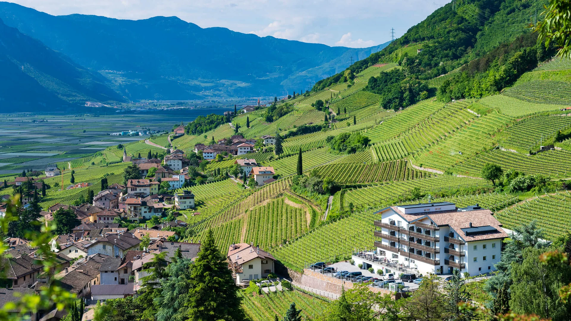 Blick auf Dorf und Weinberge an einem sonnigen Berghang