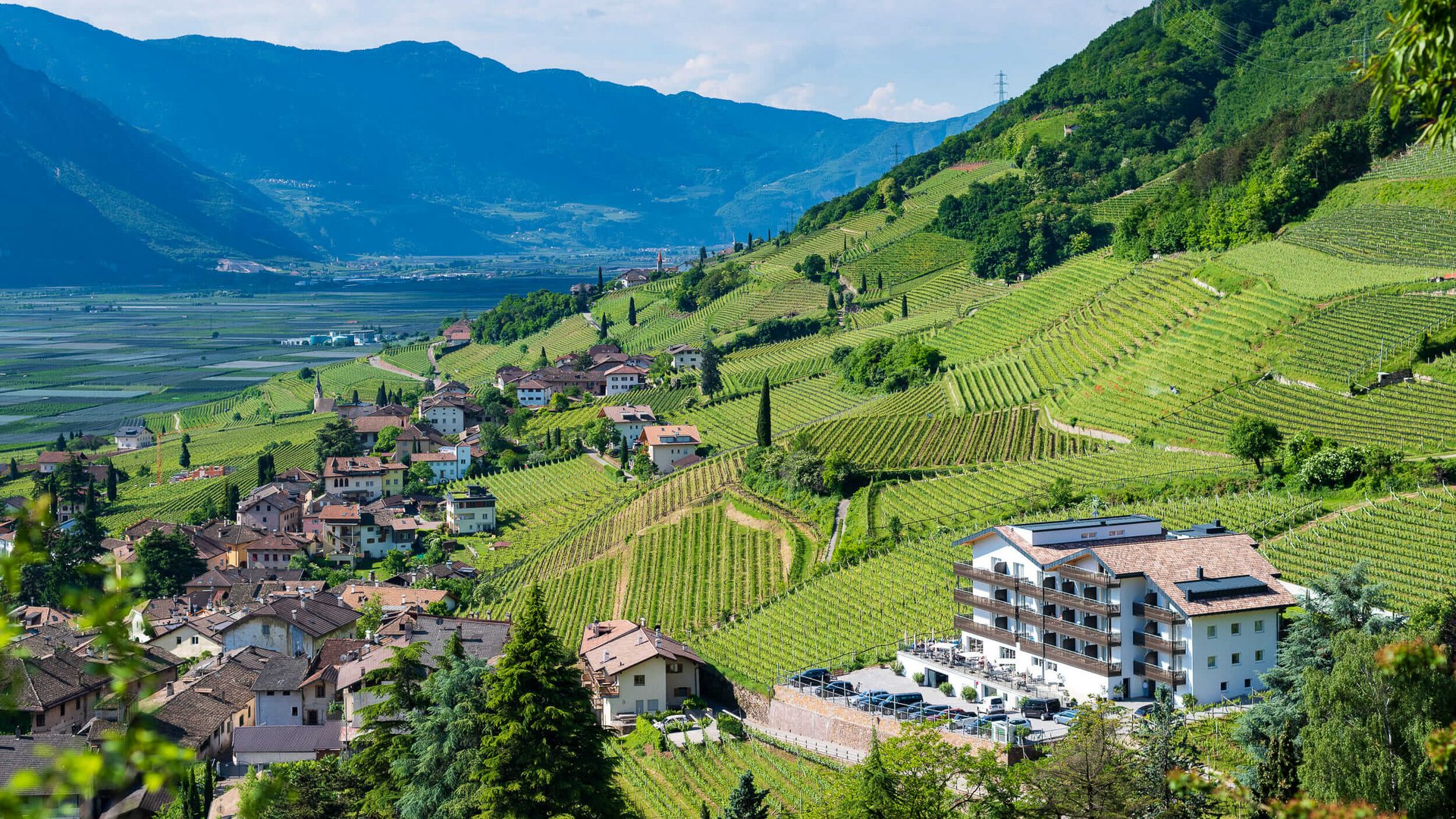 View of village and vineyards on sunny mountainside