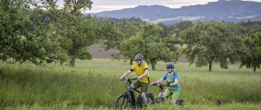 7 Quellen der Entschleunigung © Velontour - Heiko Mandl Zwei Radfahrer fahren durch eine grüne Wiese mit Bäumen und Bergen im Hintergrund