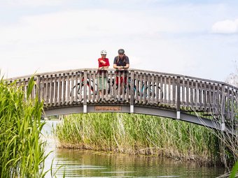Twee fietsers op een houten brug over een rivier omgeven door riet