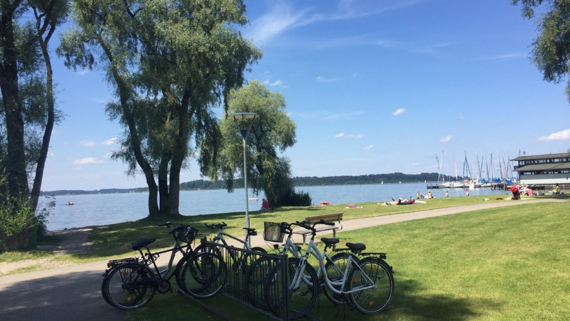 Bicycles parked near a lake with people and sailboats in the background