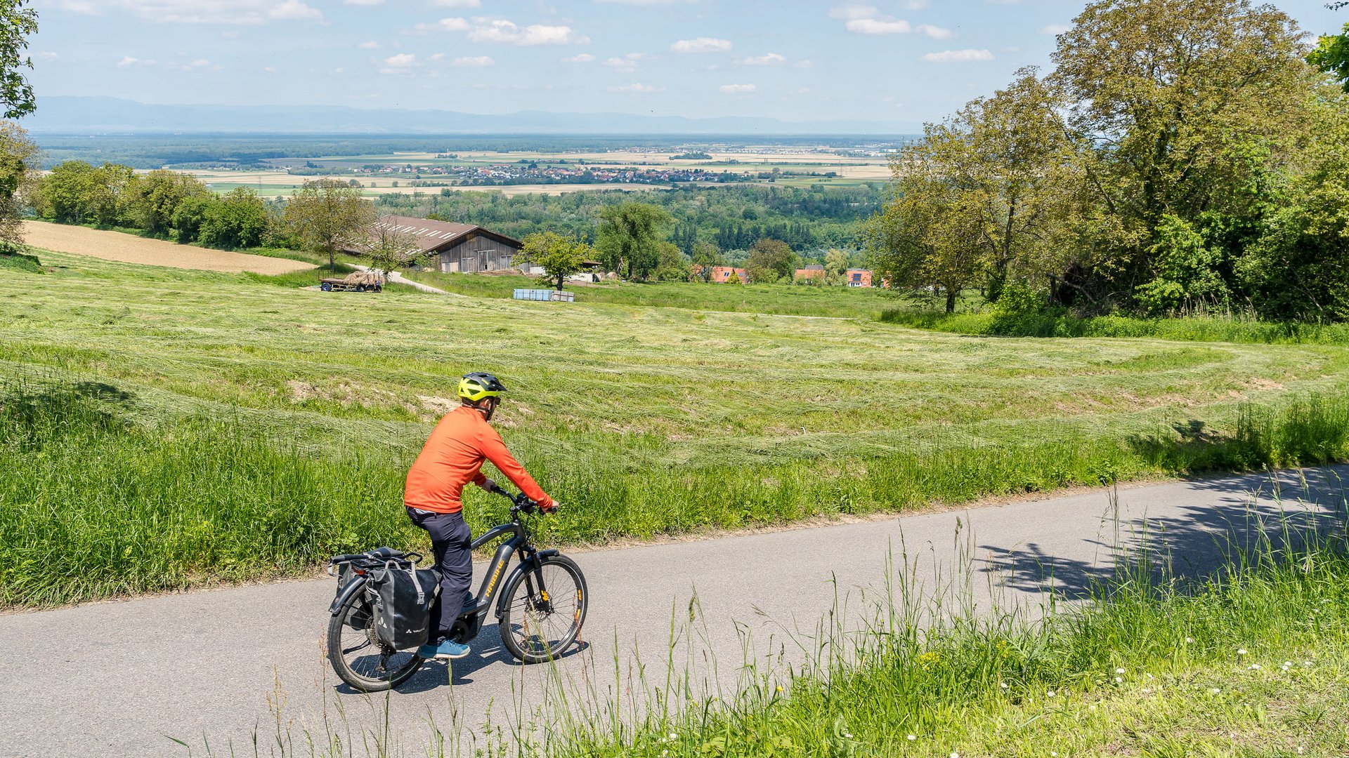 Person cycling on country road with green fields and village in the distance