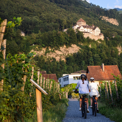 Two cyclists on a path through vineyards with castle on the hill