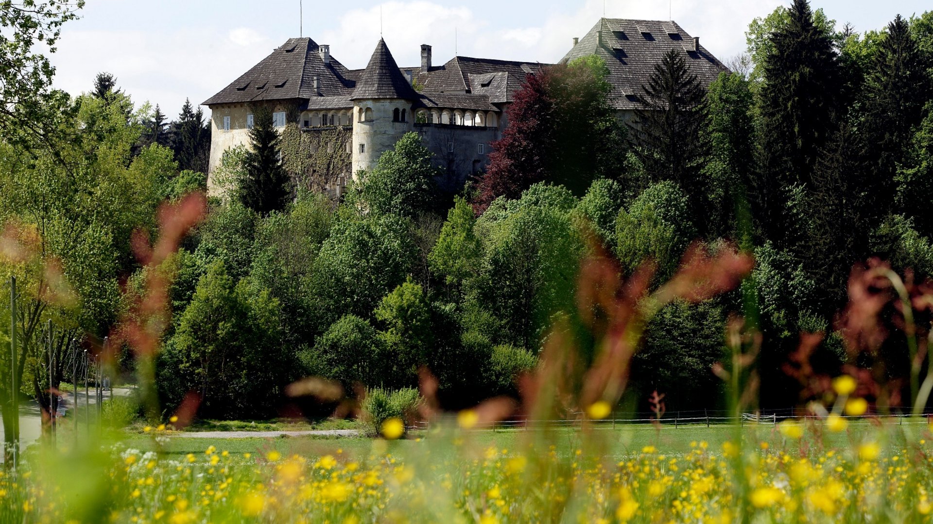 Old castle surrounded by forest with a flower meadow in the foreground