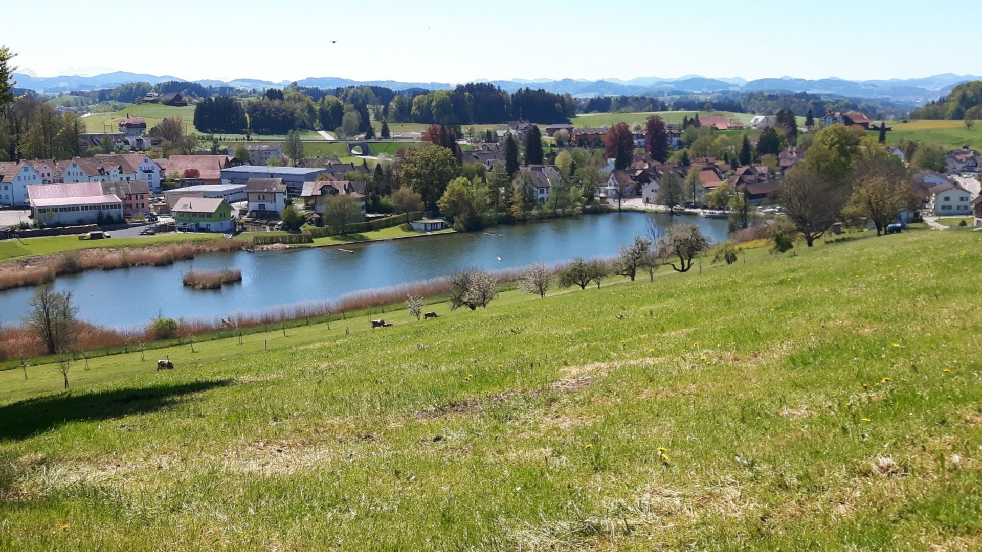 View of village and lake with green fields and mountains in background