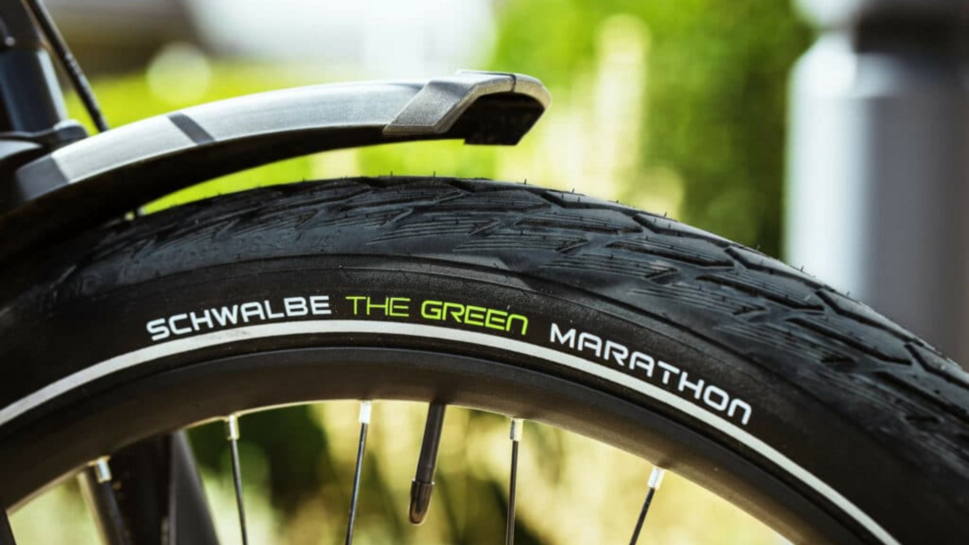 Close-up of Schwalbe The Green Marathon bicycle tire with mudguard