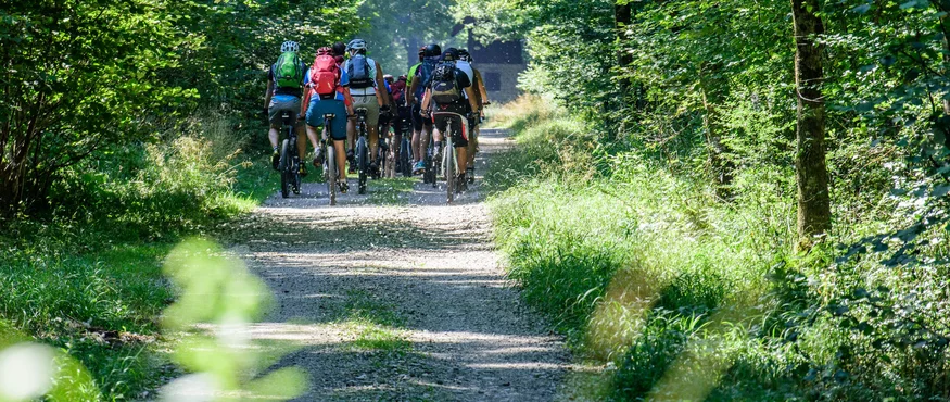 Anthering: Radurlaub zwischen Moor & Mozartstadt © Richard Payr Gruppe von Radfahrern fährt auf Waldweg im Sonnenschein