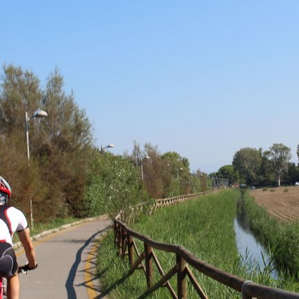 Cyclist on a path beside greenery and a narrow water channel