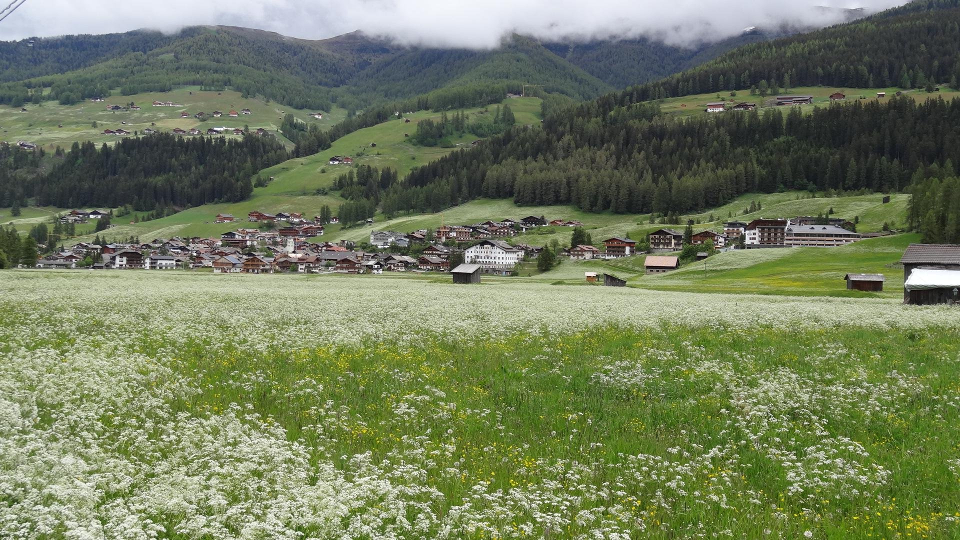 Flower field with a village in the mountains under cloudy sky