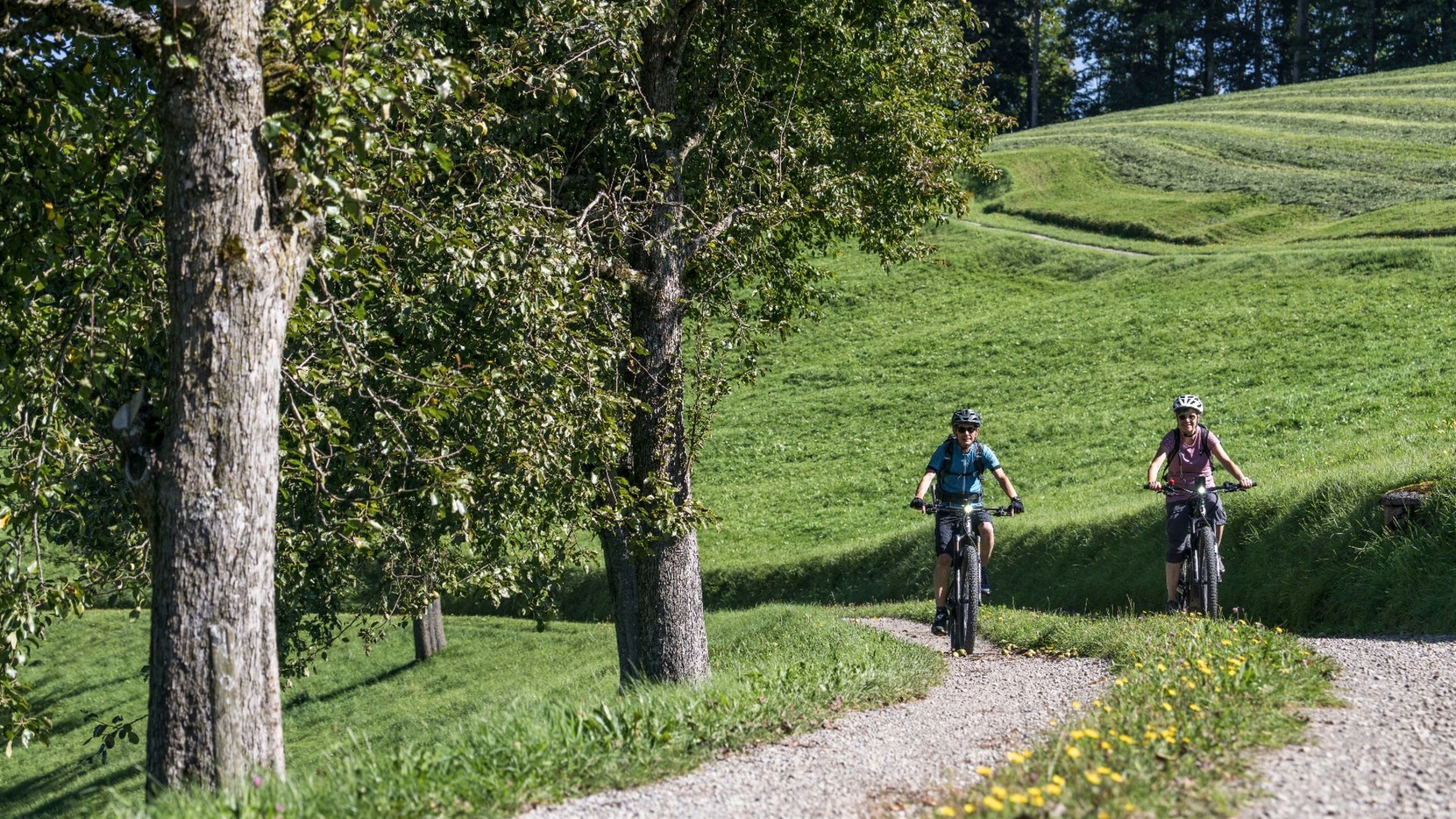 Two cyclists riding on a narrow path through green, hilly landscape.
