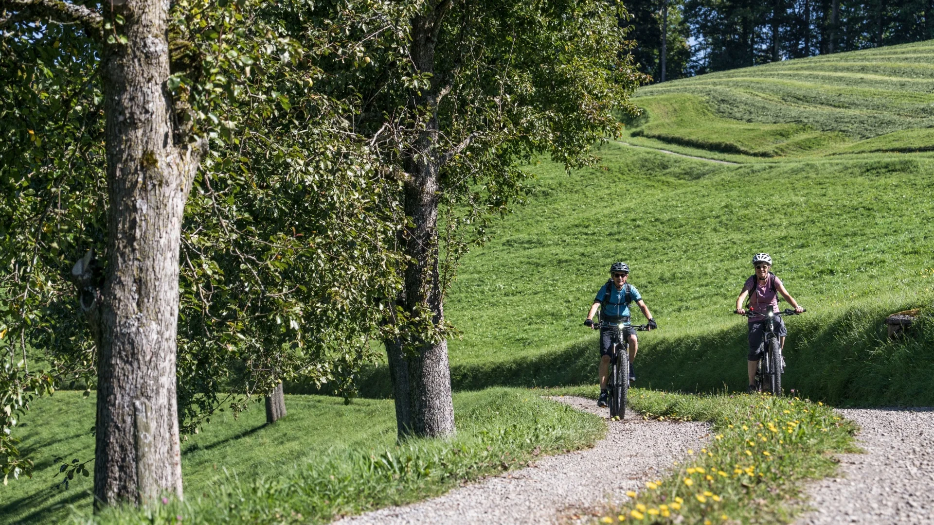 Twee fietsers rijden over een smal pad door groene, glooiende heuvels.