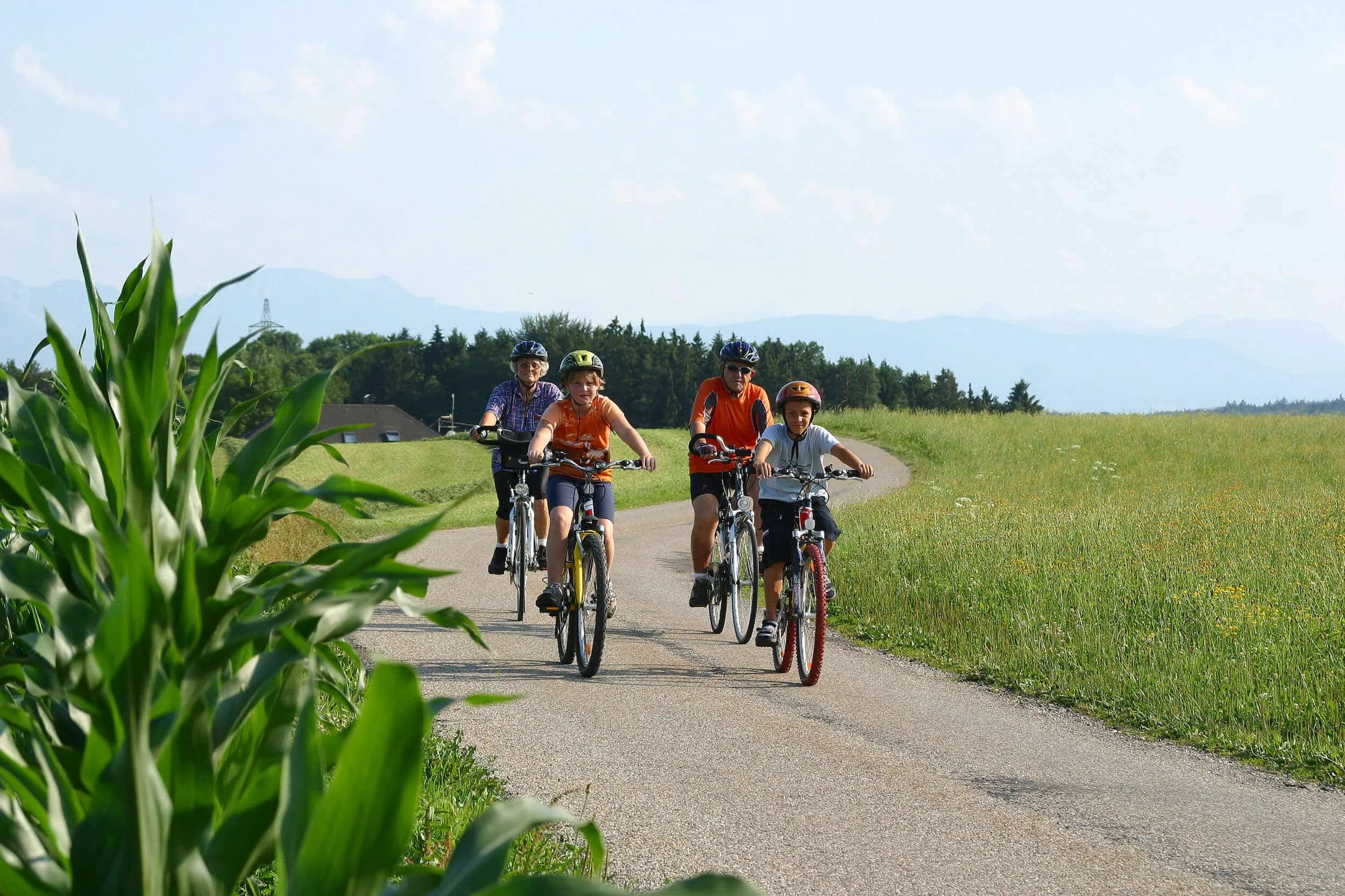 Vier Personen fahren auf einer Landstraße mit Fahrrädern durch eine grüne Landschaft.